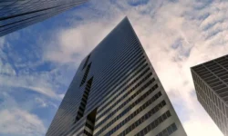 Local Knowledge, National Support: How NZ Brokers Bring It All Together